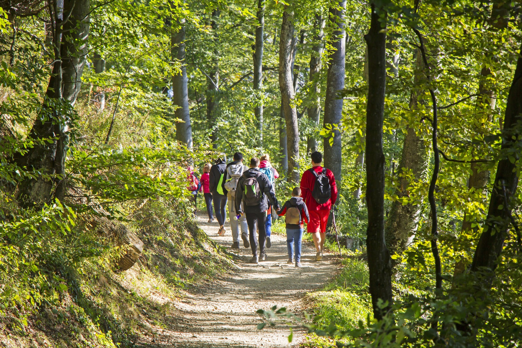 På bilden syns flera personer som går i en vandringsled i naturen.